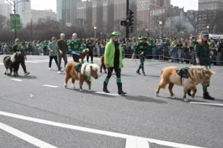 Parade photograph