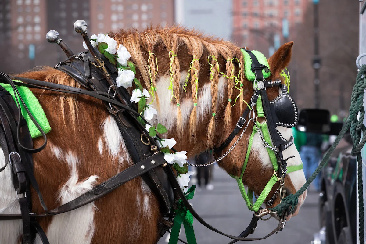250315-StPatParade_0029 (1)
